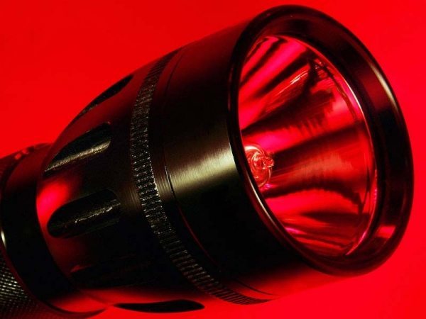 Torch Flashlight Review