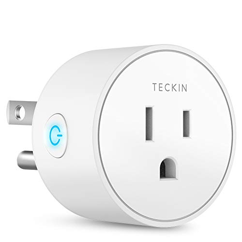 Teckin Smart Plug