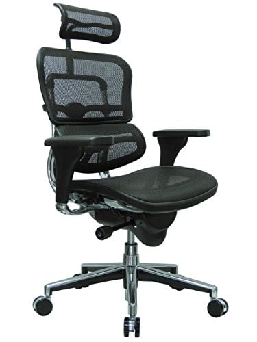 Ergohuman High Back Swivel Chair