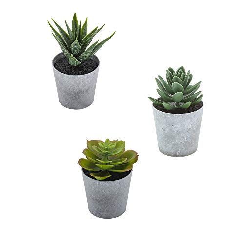 Artificial Succulent Realistic Decoration