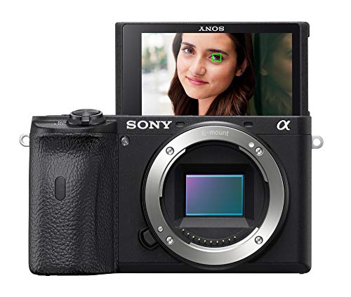 Sony A6600 Review