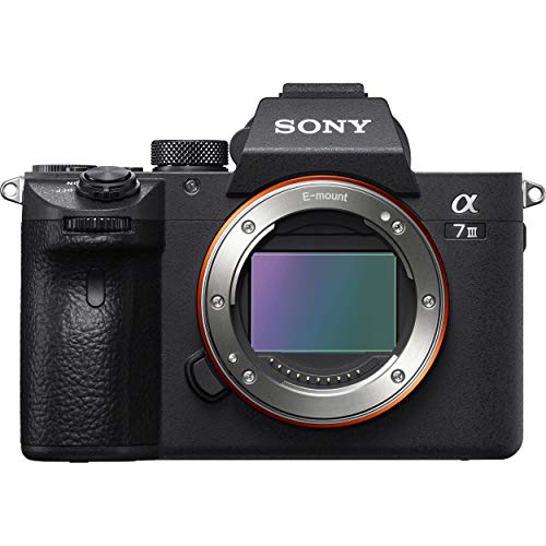 Sony Alpha A7 III Mirrorless Digital Camera