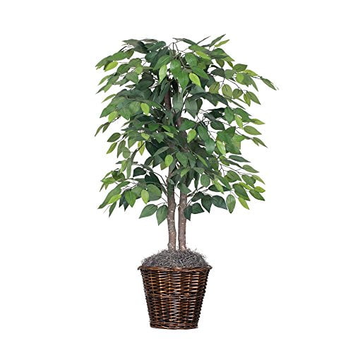 Vickerman Artificial Ficus In Decorative Rattan Baskets