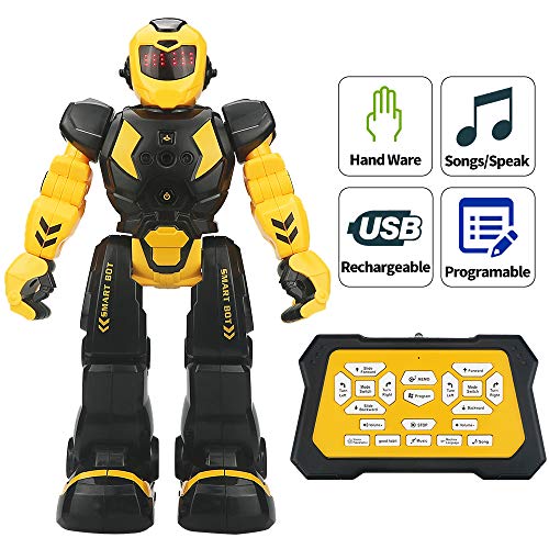 Sikaye RC Robot Toy