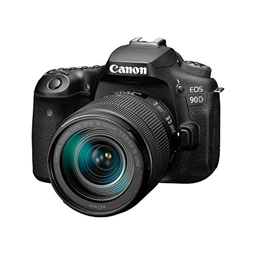 Canon 90D Review