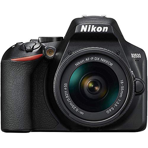 Nikon D3500 Review