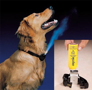 Anti Bark Spray Color 2