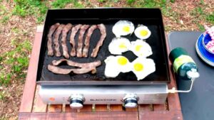 Blackstone Table Top Griddle 22 Review