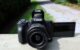 Canon EOS M50 Review