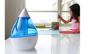 Crane Ultrasonic Cool Mist Humidifiers Review