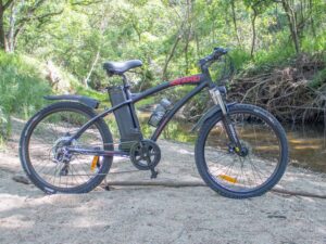 DJ Fat Bike Review