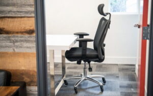 Duramont Ergonomic Adjustable Office Chair Review