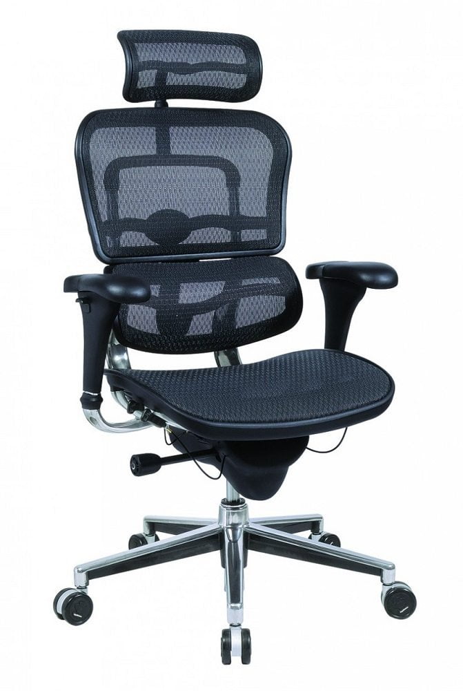 Ergohuman High Back Swivel Chair Review