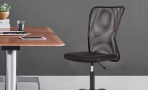 Ergonomic Office Chair Desk Chair Review