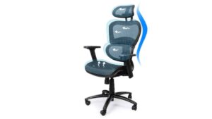 Ergousit Ergonomic Office Chair Review