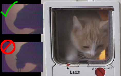 Facial Recognition Cat Door