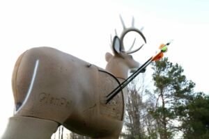 Field Logic GlenDel Archery Replaceable Review