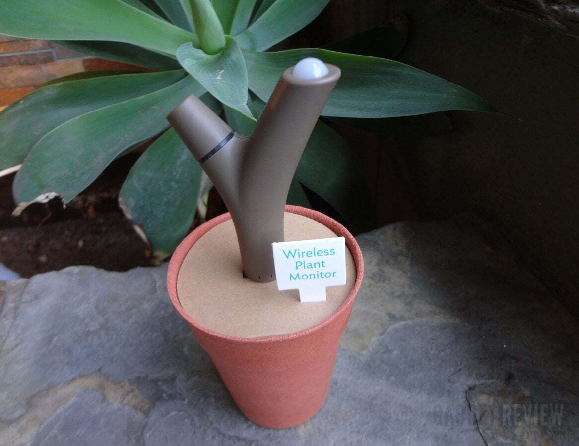 Parrot Flower Power Indoor Outdoor Bluetooth Smart Plant Sensor Review