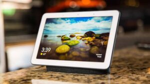 Google Nest Hub