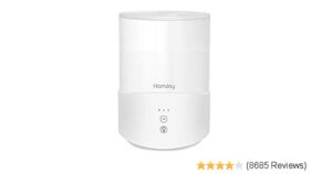 Homasy Humidifier and Diffuser Review