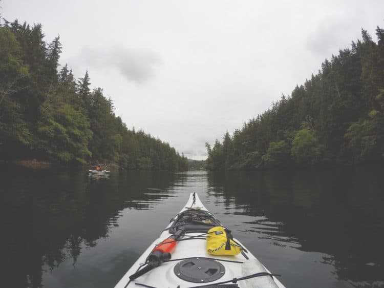 Paddleboard vs Kayak