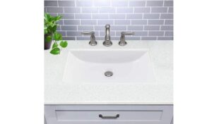 Nantucket Sinks UM 16x11 W Rectangle Undermount Review