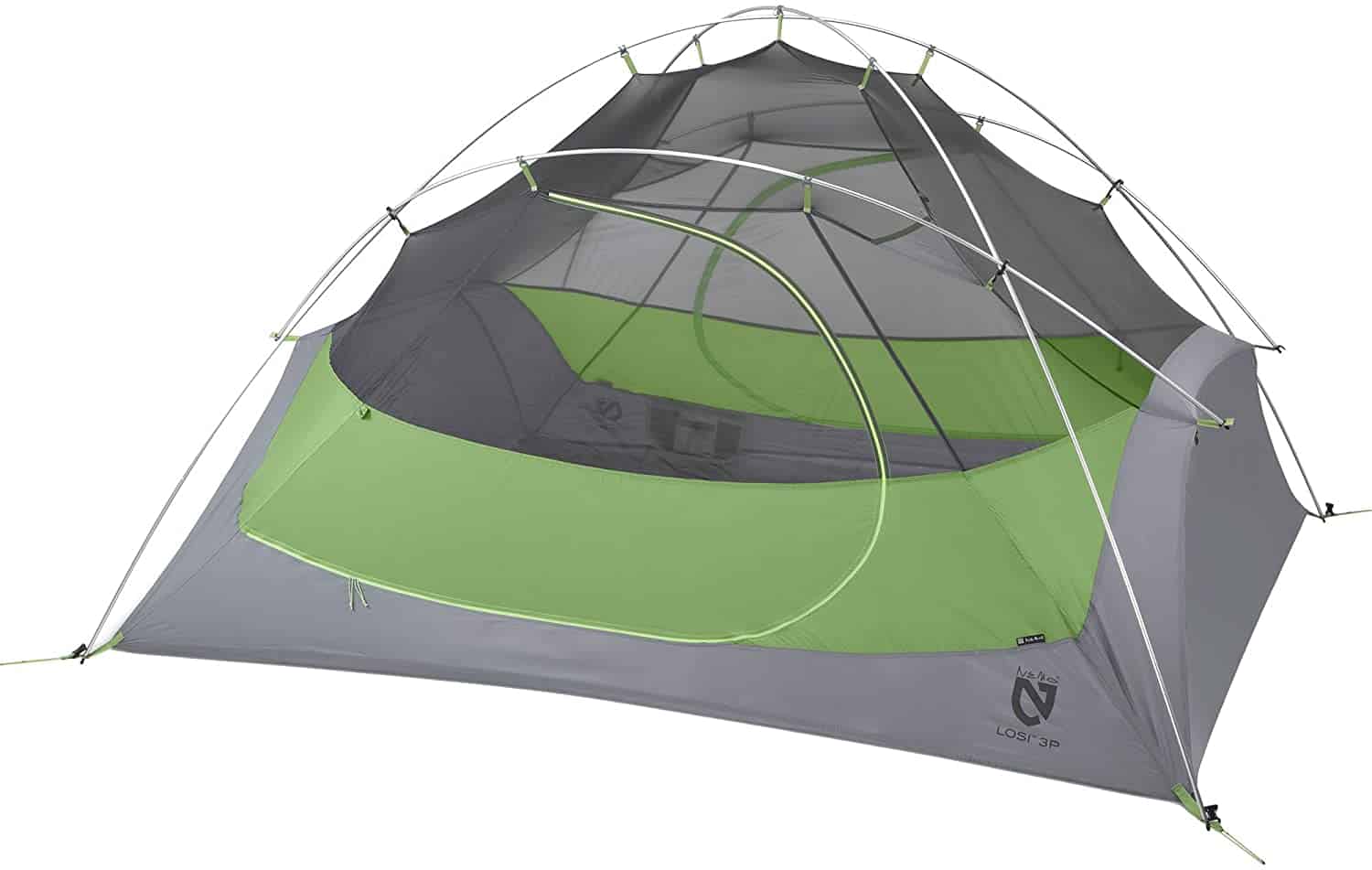 Nemo Equipment Losi Tent Review