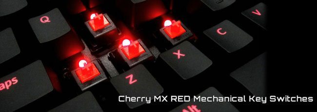 MaxKeyboard Nighthawk X9 Mechanical Keyboard Review