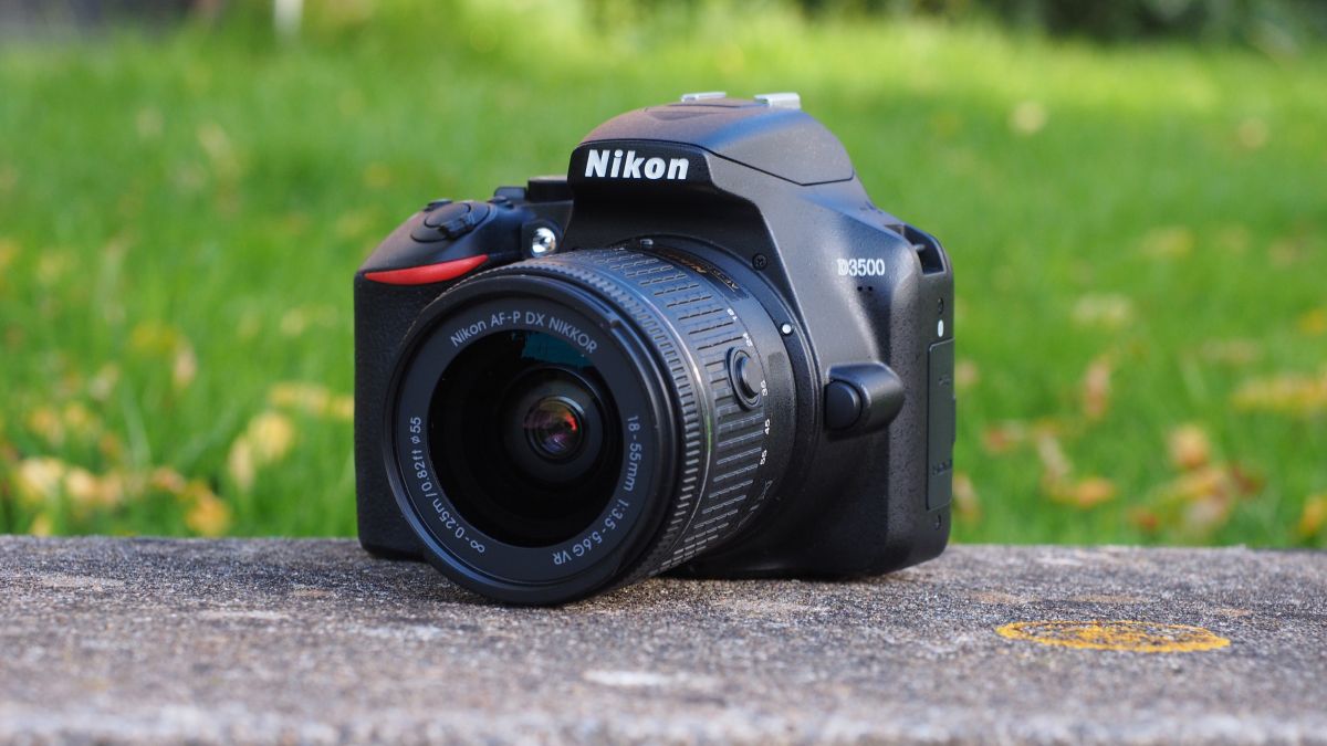 Nikon D3500 Digital SLR Camera Review