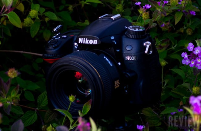 Nikon D7000 Review - Point and Shoot Camera