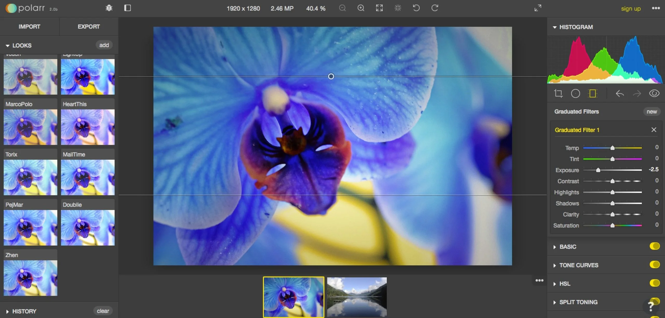 Polarr for Chrome OS