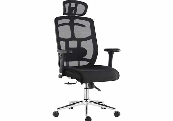 Poly and Bark Inverness Ergonomic Chair Review