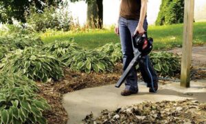 Toro 51585 Corded Leaf Blower Review