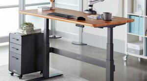 Varidesk ProDesk Review