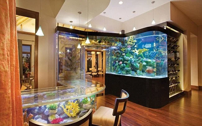 13 of the Most Luxurious Futuristic and Unique Modern Homes Money Can Buy