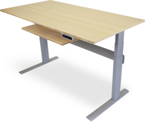 Learn about the pros/cons of the Actio Standing Desk.|Action standing desk controls