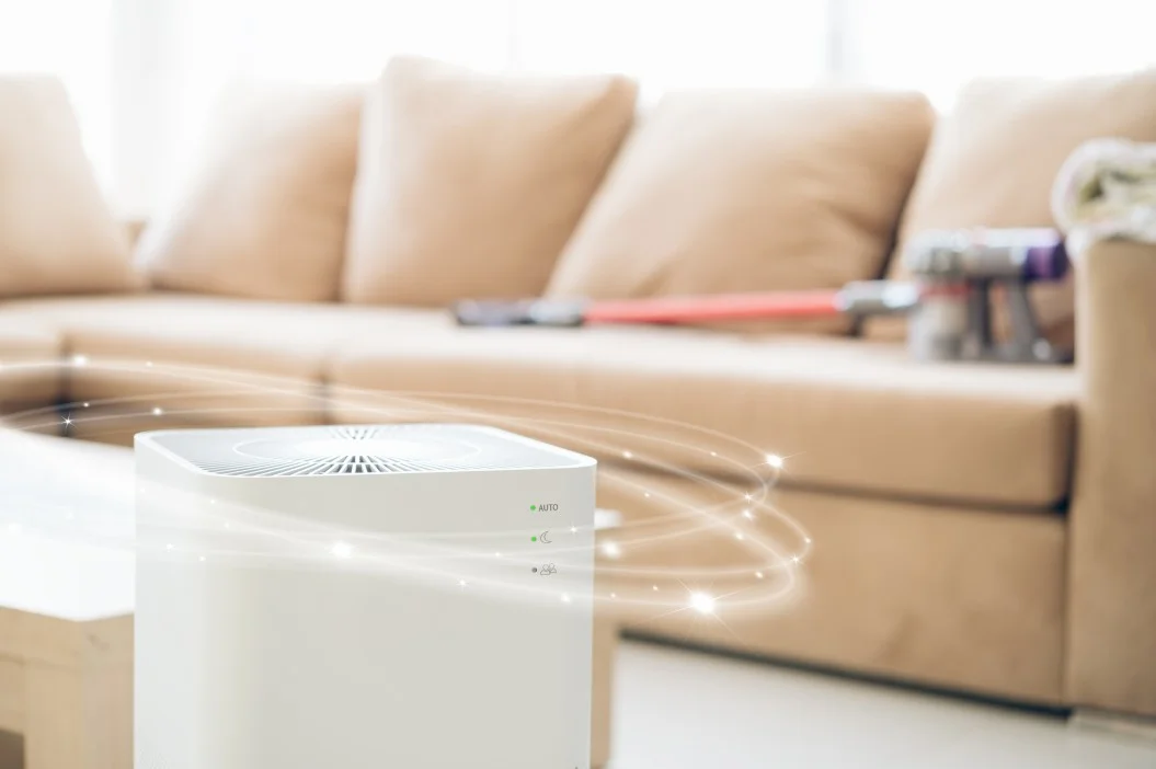Air Sanitizer Vs Purifier