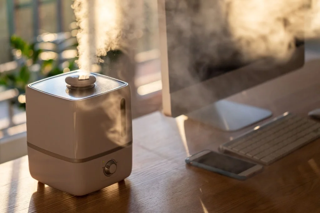 Allergen Remover vs Air Purifier