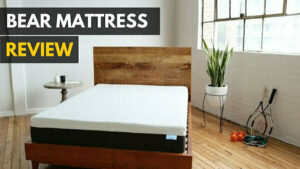 Bear Mattress Review