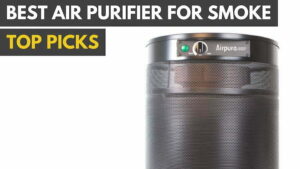 The best air purifiers for smoking and smokers.|The Airpura T600 does an excellent job at filtering smoke for the air|A great commercial air purifier for smoke |A top air purifier for smoke.|WINIX 5500-2