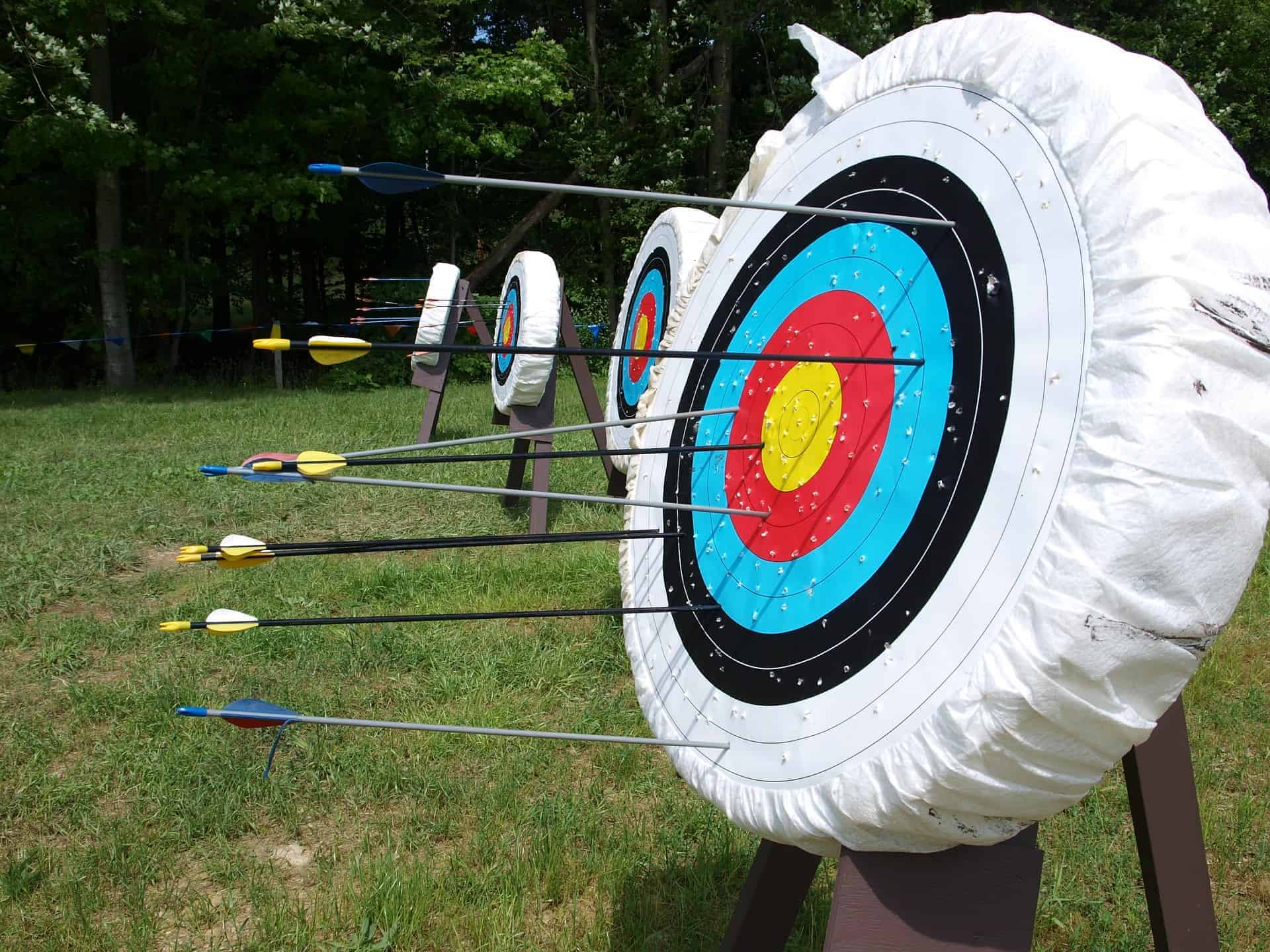 6 Best Archery Targets in 2024