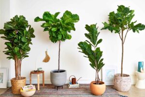 Best Artificial Plants