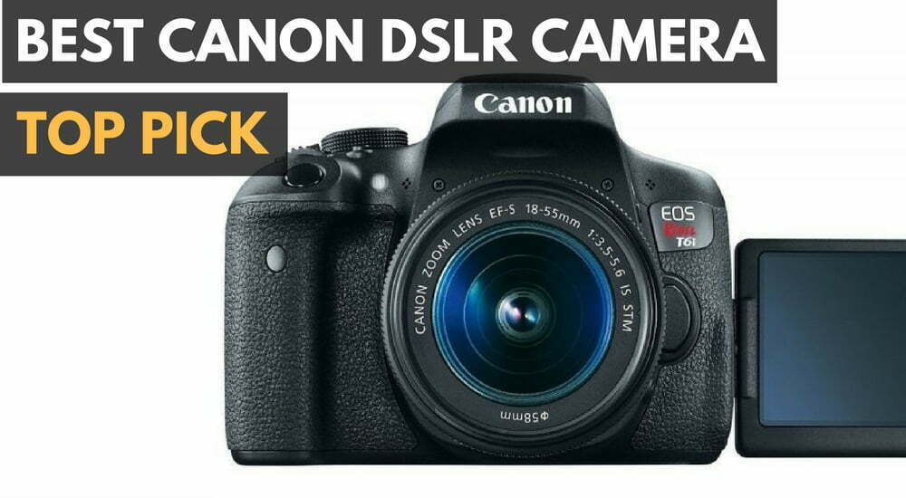 Best Canon DSLR in 2024 (April Reviews)