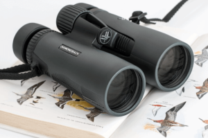 Best Compact Binoculars