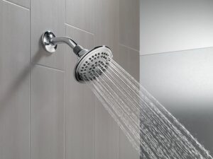 Best Fixed Shower Head