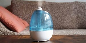 Best Humidifier