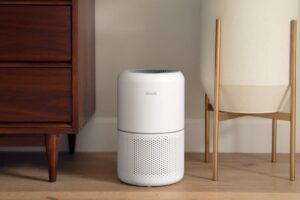 Best Ionic Air Purifier