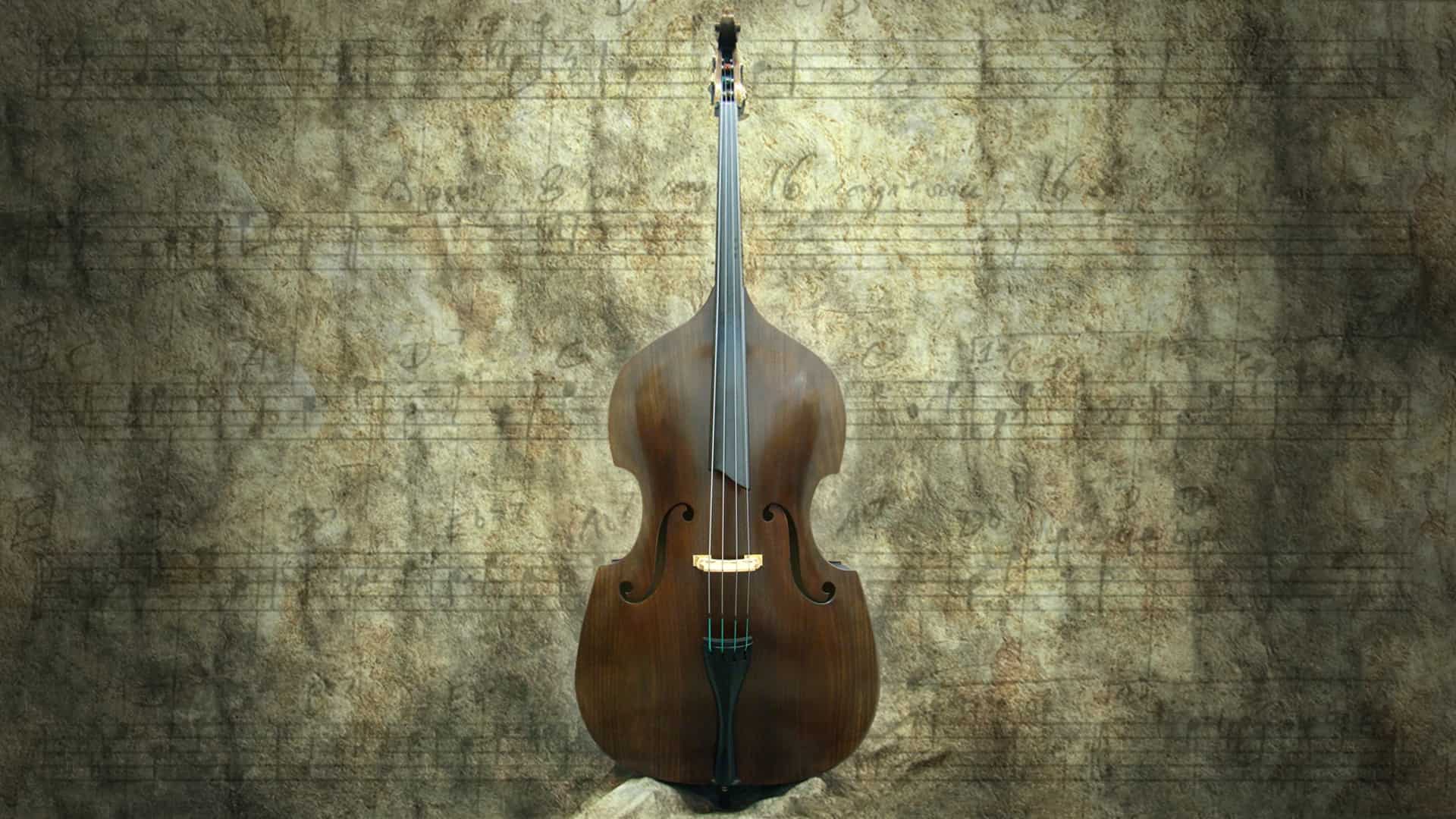 3 Best Upright Basses in 2025