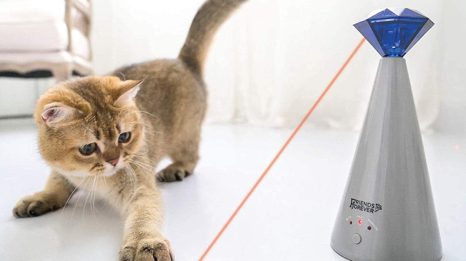 7 Best Laser Pointer for Cats in 2024