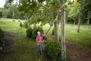 Best Pole Saw
